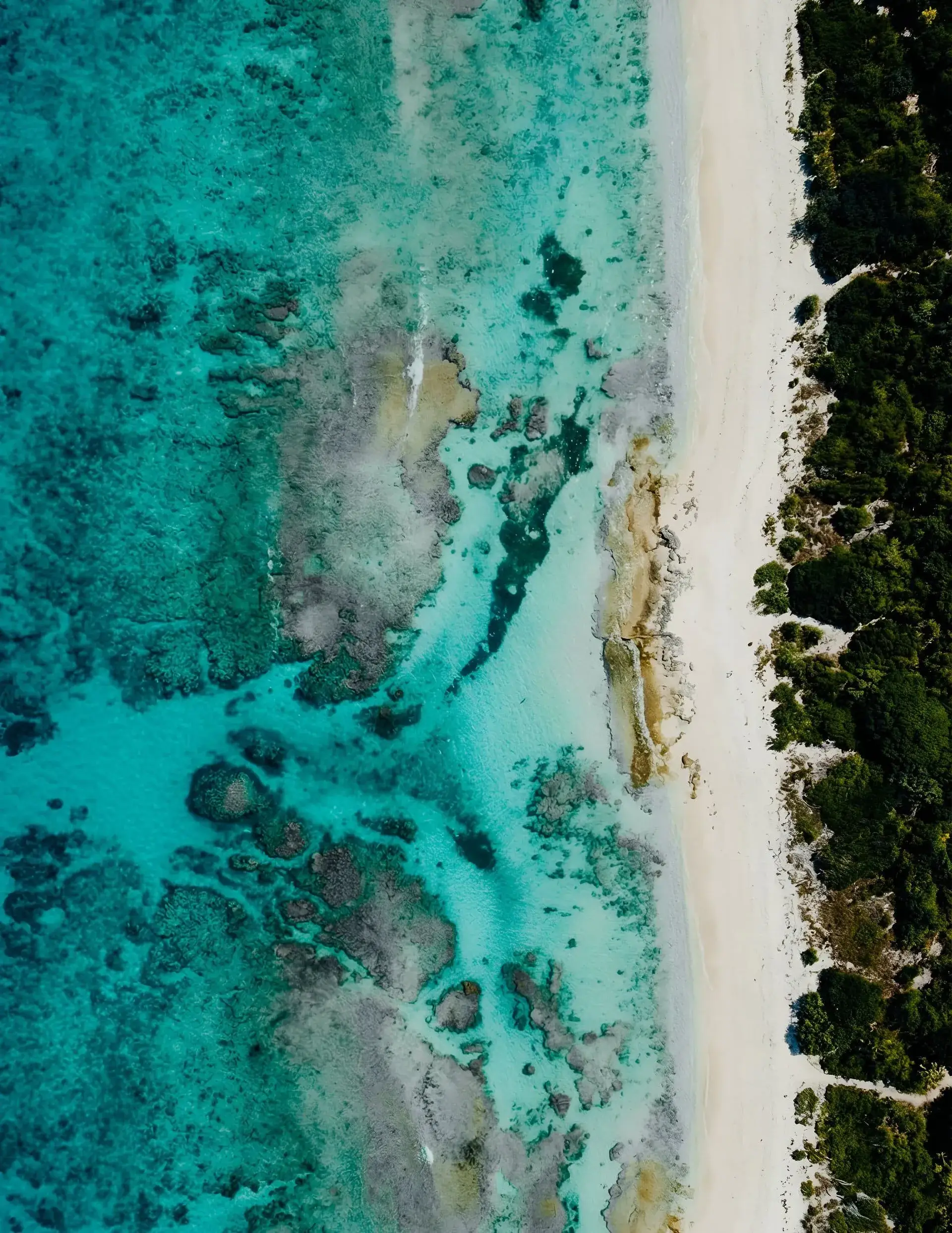 Aerial view of turquoise water along the Southwest Florida coast