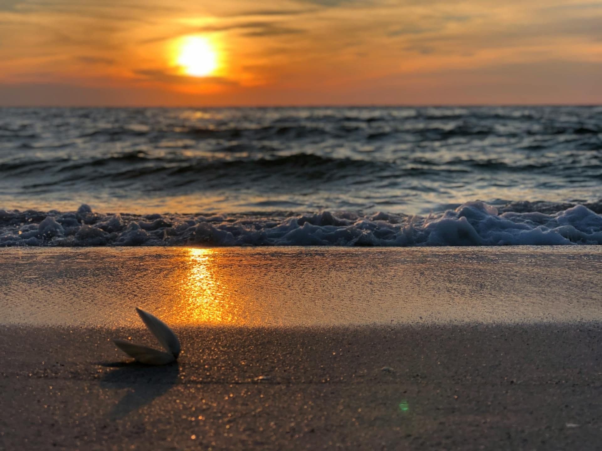 Golden sunset over the Gulf of Mexico along the Southwest Florida coast